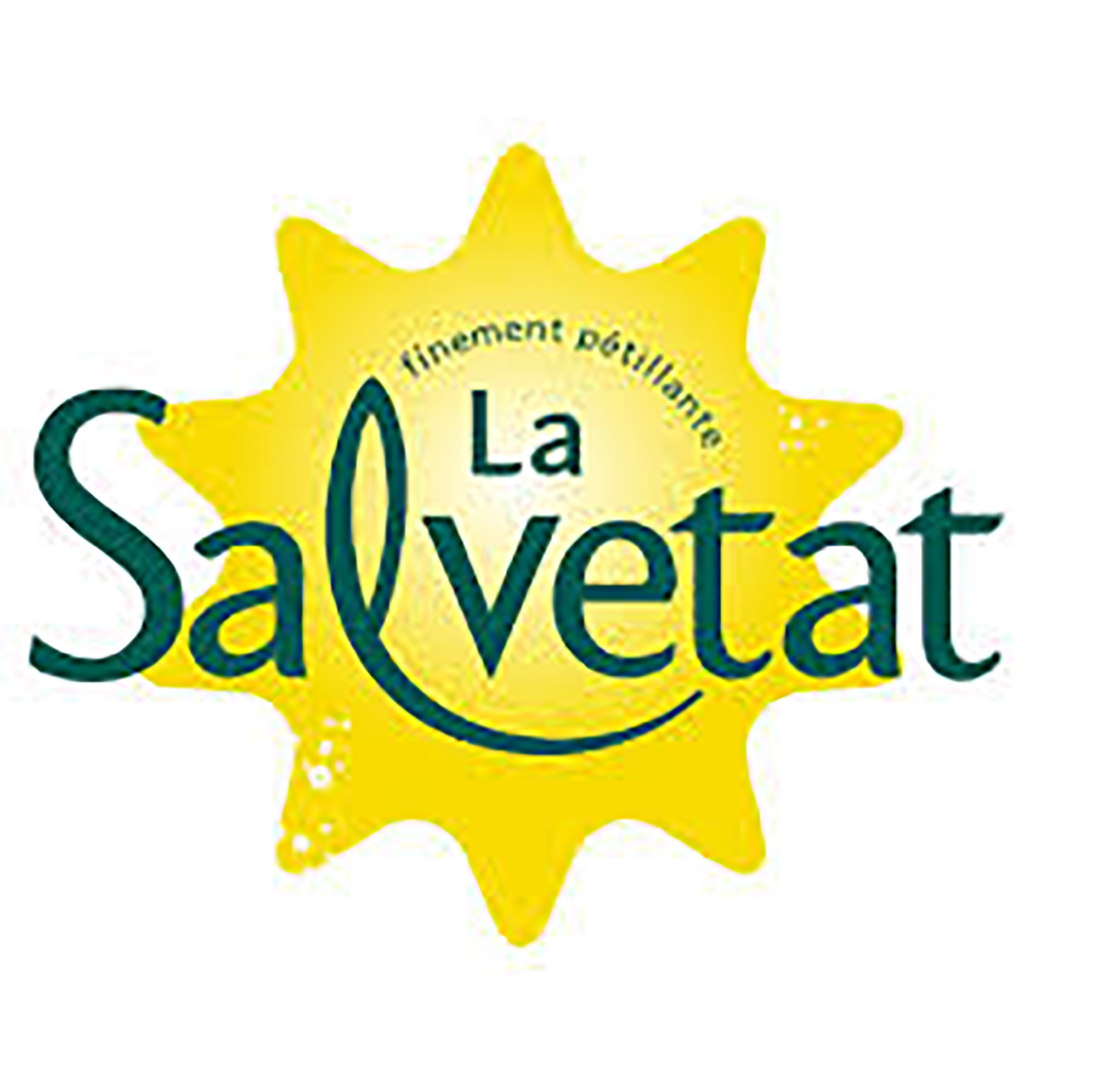 Salvetat