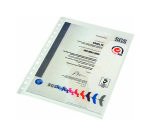 Fundas multitaladro de polipropileno rugoso Folio 80 micras Esselte - Bolsa de 10