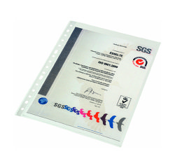 Fundas multitaladro de polipropileno rugoso Folio 80 micras Esselte - Bolsa de 10