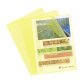 Plastic L-sleeves Exacompta A4 grained polypropylene 12/100e translucent colors - pack of 10