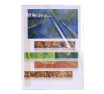 Chemise coin plastique EXACOMPTA A4 polypropylène lisse 12/100e incolore transparente - Paquet de 100