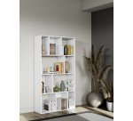 Bibliothèque 10 cases - Toronto