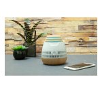 Enceinte et diffuseur d'huiles essentielles