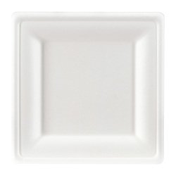 Einwegteller in Bagasse 20 x 20 cm weiß - Satz von 100