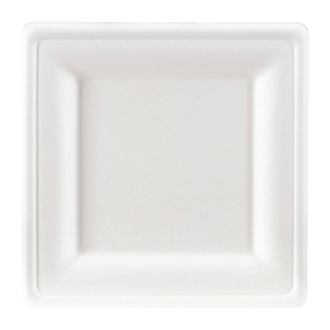Disposable plate in bagasse 20 x 20 cm white - set of 100