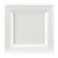 Disposable plate in bagasse 20 x 20 cm white - set of 100