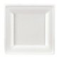 Wegwerpbord in bagasse 20 x 20 cm wit - set van 100