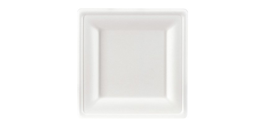 Teller aus Zuckerrohr 20 x 20 cm, weiß - 100er Pack