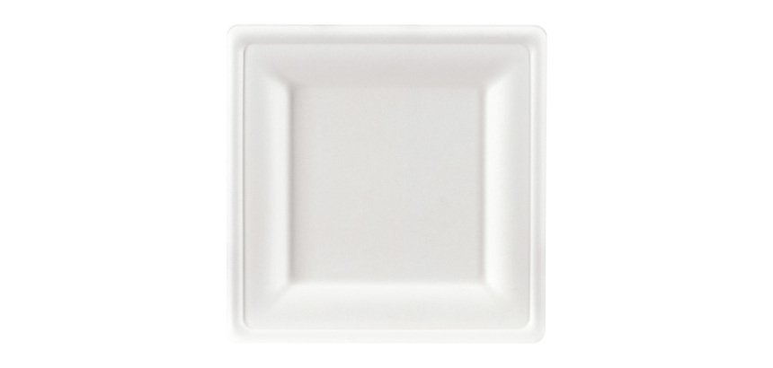 Assiette en canne à sucre 20 x 20 cm, blanche - Lot de 100