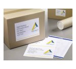 Etiquetas para paquetes blancas 199,6 x 289,1 mm Avery  L7167 - Paquete de 15