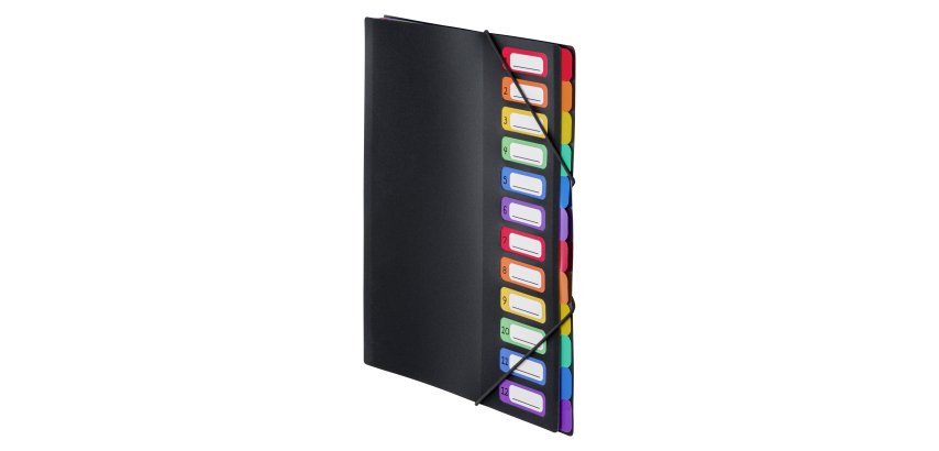 Trieur plastique Viquel Rainbow Class à soufflet 12 divisions noir