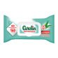 Lingettes nettoyantes extra-larges Carolin anti-bactérien - Eucalyptus - Paquet de 80