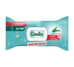 Lingettes nettoyantes extra-larges Carolin anti-bactérien - Eucalyptus - Paquet de 80
