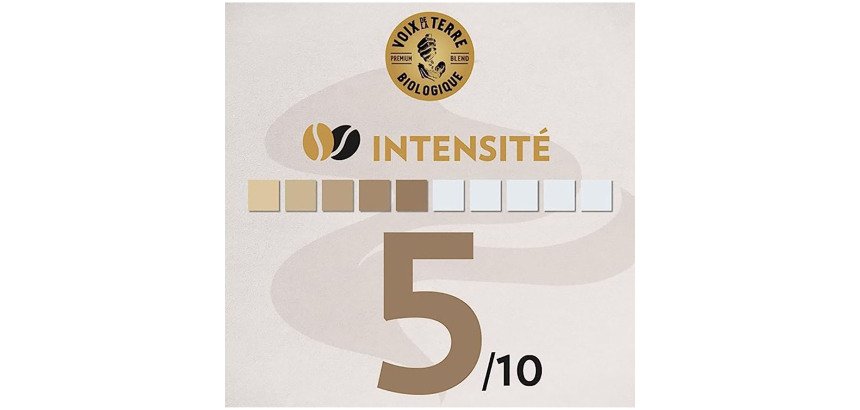 Café en grains Lavazza Amazonie Bio - Paquet de 500 g