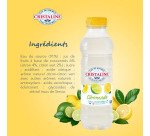 Lipton Ice Tea peach 33 cl - box of 24 cans 