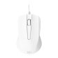 Souris filaire T'nB Shark 1000 Dpi