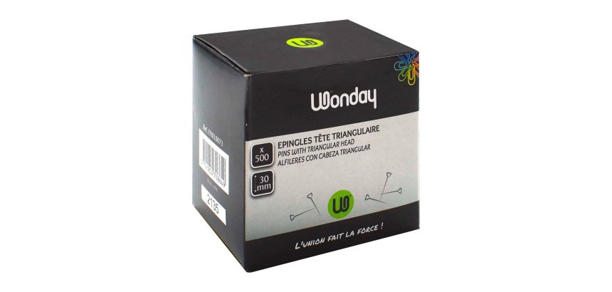 Epingles tête triangulaire - Boite de 500