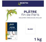 Plâtre fin de Paris - 1 Kg