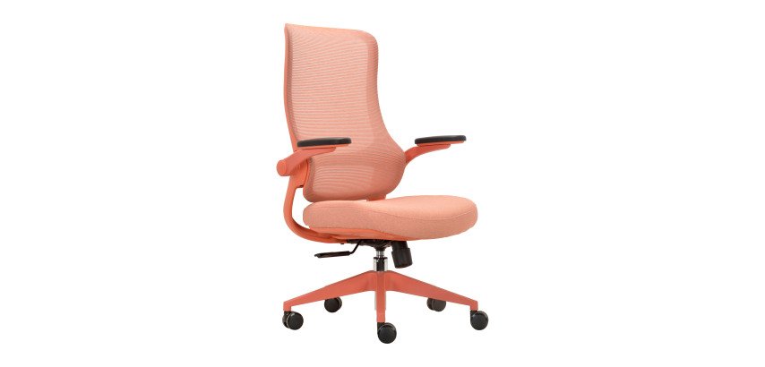 Sedia ergonomica Aurora