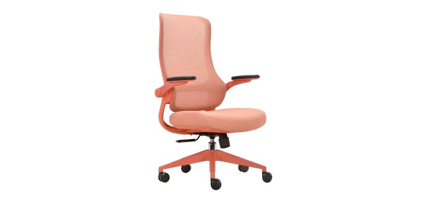 Sedia ergonomica Aurora