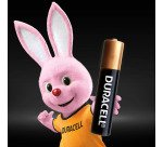 Piles alcalines Duracell spéciales AAAA 1,5 V, lot de 2 (LR8D425)