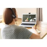 Casque micro filaire Jabra Evolve2 30 SE UC Stéréo USB-C/A - 2 écouteurs