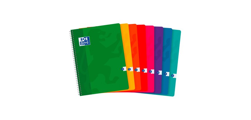 Notebook OXFORD Color Life 24 x 32 cm small squares 100 pages