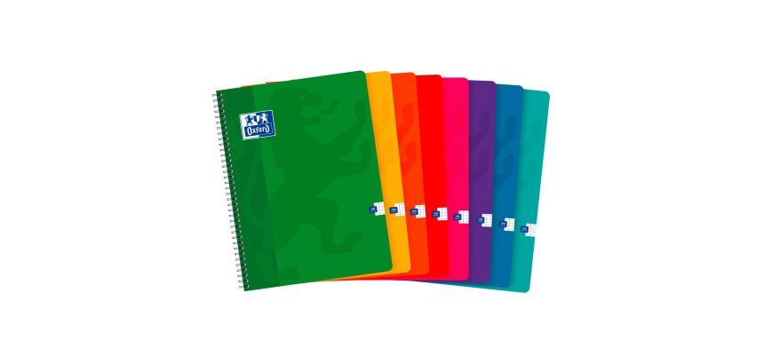 Cahier OXFORD  Color Life 24 x 32 cm kleine ruitjes 100 pagina's