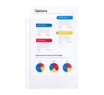 Pochettes perforées Exacompta  A4 polypropylène lisse 6/100e - Boite de 50