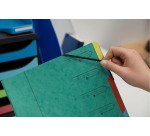 Trieur carte Exacompta 12 divisions - Vert