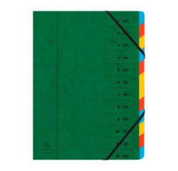 Card sorter Exacompta 12 compartments green