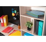 Trieur carte Exacompta Harmonika 24 divisions coloris assortis