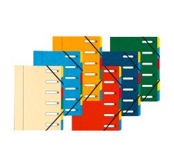 Card sorter Exacompta Harmonika 6 divisions assorted colors