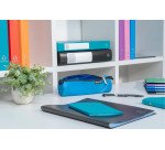 Protège-documents Opak Exacompta polypropylène 11 x 15 cm 20 pochettes - 40 vues couleurs assorties