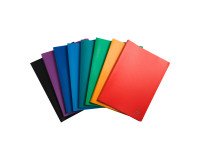 Protège-documents Opak Exacompta polypropylène A4 40 pochettes - 80 vues couleurs assorties