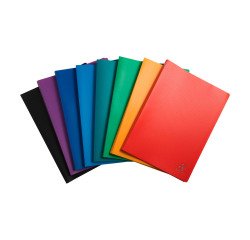 Protège-documents Opak Exacompta polypropylène A4 40 pochettes - 80 vues couleurs assorties