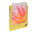 Chemise box plastique personnalisable Exacompta KREACOVER - dos de 4 cm couleurs assorties pastel