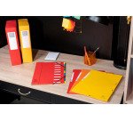 Chemise à élastique 3 rabats carte lustrée Exacompta 24 x 32 cm dos 2 cm coloris assortis