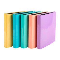 Classeur 4 anneaux cartonné Exacompta Aquarel A4 - Dos 4 cm couleurs assorties