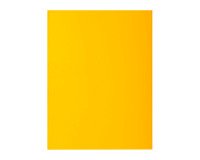 Standard for underfolders 80g Rock"s Exacompta 22 x 31 cm - Pack of 30