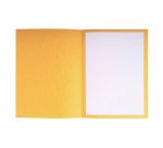 Packet of 25 pre-printed pleading folders Exacompta - 25x32 - color