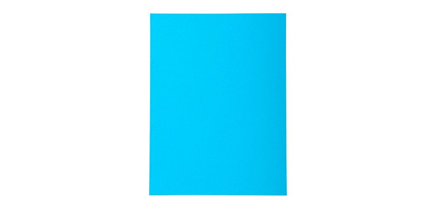 Standard folder 210 g Exacompta Forever 24 x 32 cm - Pack of 100