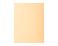 Standard folder 210 g Exacompta Forever 24 x 32 cm - Pack of 100