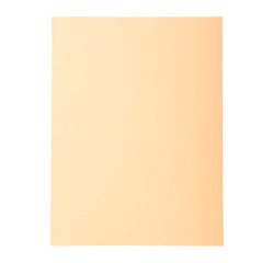 Standard folder 210 g Exacompta Forever 24 x 32 cm - Pack of 100