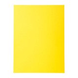 Standard shirt 210 g Exacompta Forever 24 x 32 cm - Pack of 100