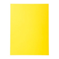 Dossiermap 210 g Exacompta Forever 24 x 32 cm - Pakket van 100