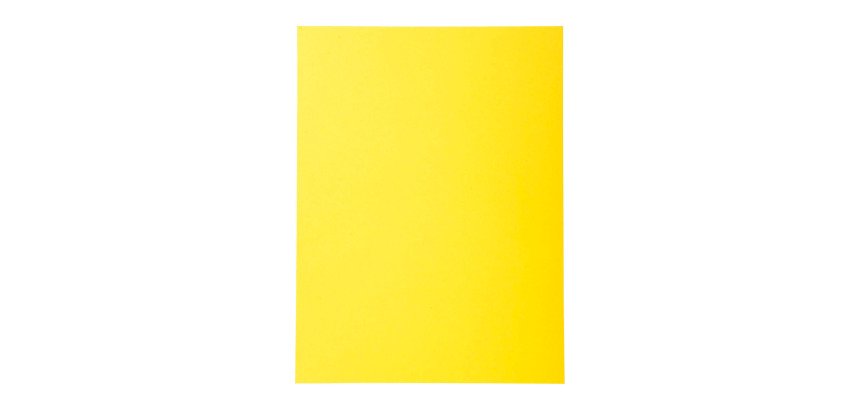 Standard folder 210 g Exacompta Forever 24 x 32 cm - Pack of 100