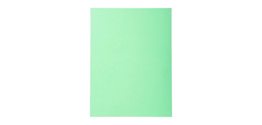 Standard folder 210 g Exacompta Forever 24 x 32 cm - Pack of 100