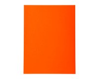 Chemise standard 210 g Exacompta Forever 24 x 32 cm orange - Pack von 100