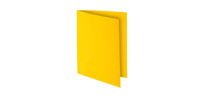 Chemise standard 210 g Exacompta Rock"s 24 x 32 cm - Paquet de 10